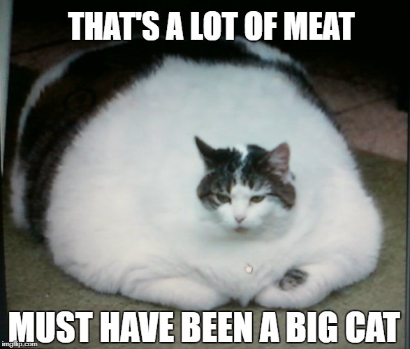 MUST HAVE BEEN A BIG CAT THAT'S A LOT OF MEAT | made w/ Imgflip meme maker