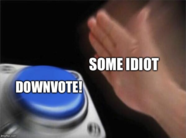 Blank Nut Button | SOME IDIOT; DOWNVOTE! | image tagged in memes,blank nut button | made w/ Imgflip meme maker