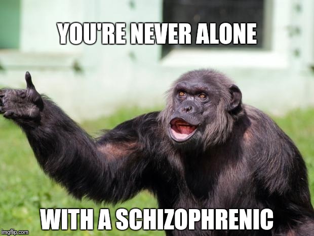 Gorilla your dreams | YOU'RE NEVER ALONE WITH A SCHIZOPHRENIC | image tagged in gorilla your dreams | made w/ Imgflip meme maker