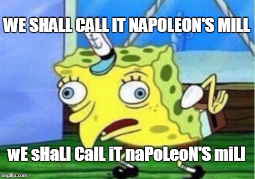 Mocking Spongebob Meme | WE SHALL CALL IT NAPOLEON'S MILL; wE sHaLl CalL iT naPoLeoN'S miLl | image tagged in memes,mocking spongebob | made w/ Imgflip meme maker