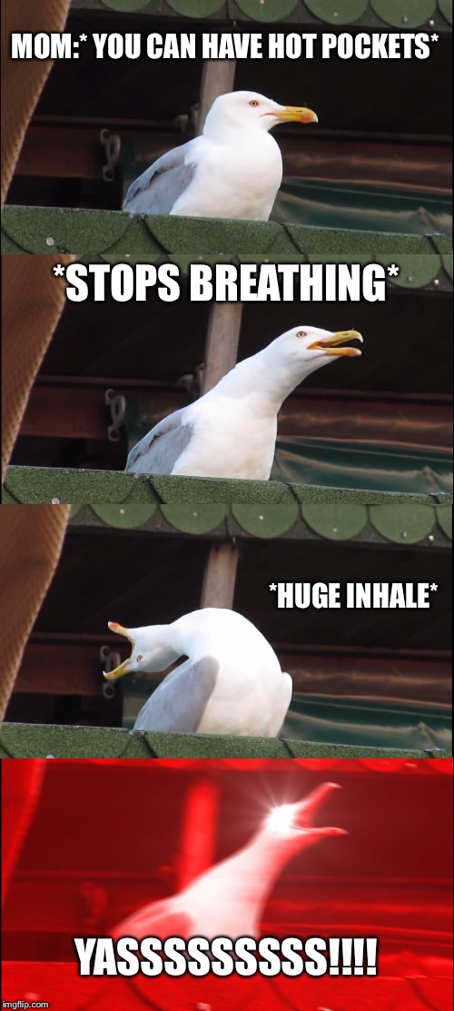 Inhaling Seagull Meme | MOM:* YOU CAN HAVE HOT POCKETS*; *STOPS BREATHING*; *HUGE INHALE*; YASSSSSSSSS!!!! | image tagged in memes,inhaling seagull | made w/ Imgflip meme maker