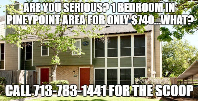 ARE YOU SERIOUS? 1 BEDROOM
IN PINEYPOINT AREA FOR ONLY $740...WHAT? CALL 713-783-1441 FOR THE SCOOP | image tagged in wob | made w/ Imgflip meme maker