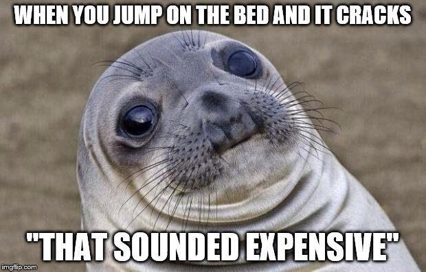 Awkward Moment Sealion Meme | WHEN YOU JUMP ON THE BED AND IT CRACKS; "THAT SOUNDED EXPENSIVE" | image tagged in memes,awkward moment sealion | made w/ Imgflip meme maker