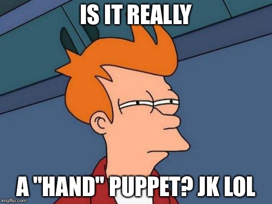 IS IT REALLY A "HAND" PUPPET? JK LOL | image tagged in memes,futurama fry | made w/ Imgflip meme maker