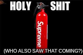 You knew it was meant to be | HOLY          SHIT; (WHO ALSO SAW THAT COMING?) | image tagged in supreme meme | made w/ Imgflip meme maker