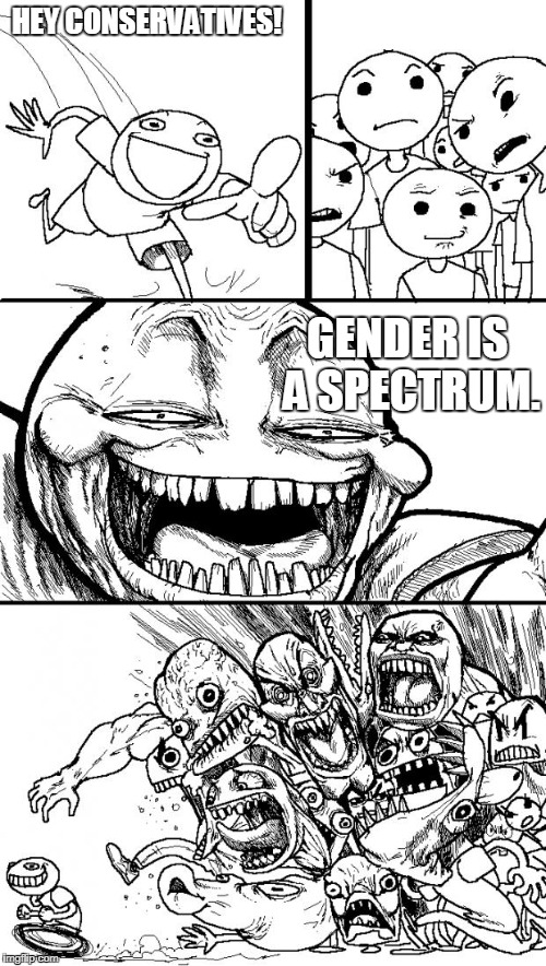 Hey Conservatives | HEY CONSERVATIVES! GENDER IS A SPECTRUM. | image tagged in memes,hey internet,gender,gender equality,conservatives | made w/ Imgflip meme maker