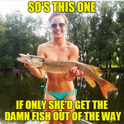 SO'S THIS ONE IF ONLY SHE'D GET THE DAMN FISH OUT OF THE WAY | made w/ Imgflip meme maker