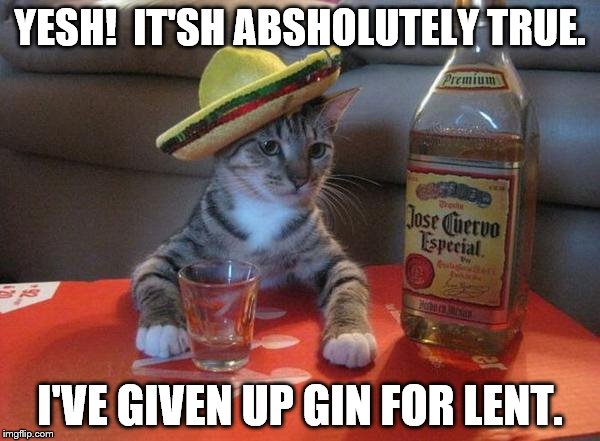 alcohol cat | YESH!  IT'SH ABSHOLUTELY TRUE. I'VE GIVEN UP GIN FOR LENT. | image tagged in alcohol cat | made w/ Imgflip meme maker