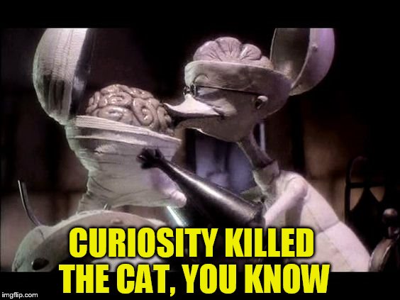 CURIOSITY KILLED THE CAT, YOU KNOW | made w/ Imgflip meme maker