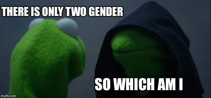 Evil Kermit Meme | THERE IS ONLY TWO GENDER; SO WHICH AM I | image tagged in memes,evil kermit | made w/ Imgflip meme maker