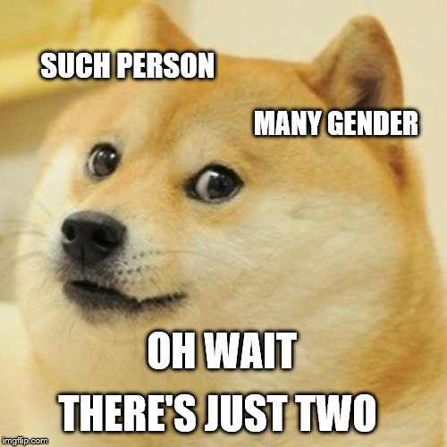 Doge | SUCH PERSON; MANY GENDER; OH WAIT; THERE'S JUST TWO | image tagged in memes,doge | made w/ Imgflip meme maker