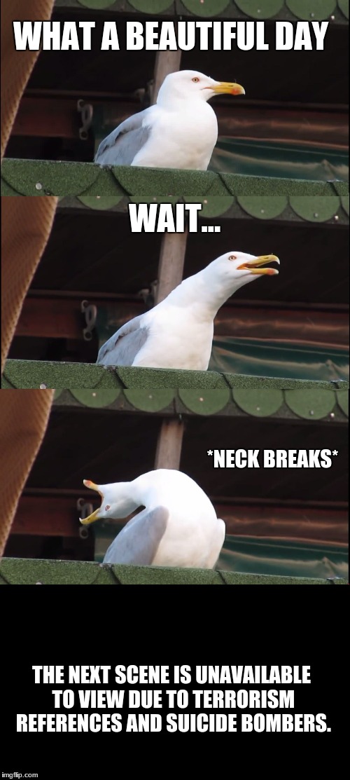 Inhaling Seagull Terrorist | WHAT A BEAUTIFUL DAY; WAIT... *NECK BREAKS*; THE NEXT SCENE IS UNAVAILABLE TO VIEW DUE TO TERRORISM REFERENCES AND SUICIDE BOMBERS. | image tagged in memes,inhaling seagull | made w/ Imgflip meme maker