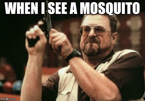 Am I The Only One Around Here Meme | WHEN I SEE A MOSQUITO | image tagged in memes,am i the only one around here | made w/ Imgflip meme maker