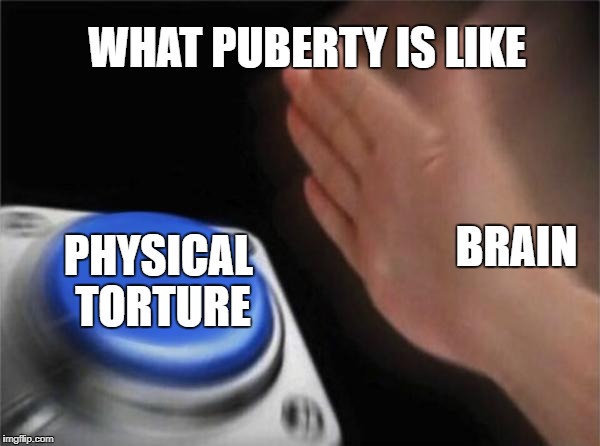 Blank Nut Button | WHAT PUBERTY IS LIKE; BRAIN; PHYSICAL TORTURE | image tagged in memes,blank nut button | made w/ Imgflip meme maker