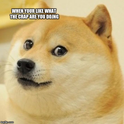 Doge Meme | WHEN YOUR LIKE WHAT THE CRAP ARE YOU DOJNG | image tagged in memes,doge | made w/ Imgflip meme maker