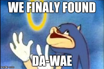 Sonic derp | WE FINALY FOUND; DA-WAE | image tagged in sonic derp | made w/ Imgflip meme maker