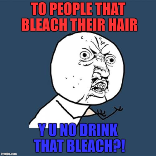 Y U No Meme | TO PEOPLE THAT BLEACH THEIR HAIR; Y U NO DRINK THAT BLEACH?! | image tagged in memes,y u no | made w/ Imgflip meme maker