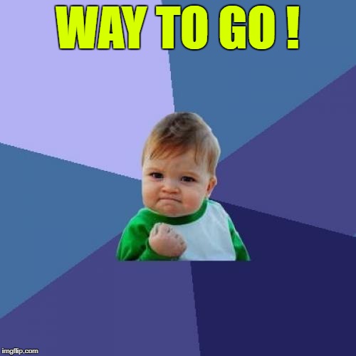 Success Kid Meme | WAY TO GO ! | image tagged in memes,success kid | made w/ Imgflip meme maker