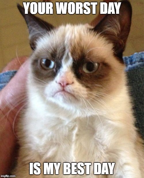 1 day 
 | YOUR WORST DAY; IS MY BEST DAY | image tagged in memes,grumpy cat,funny memes,meme | made w/ Imgflip meme maker