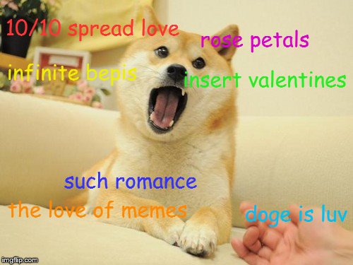 10/10 spread love; rose petals; infinite bepis; insert valentines; such romance; the love of memes; doge is luv | image tagged in valentine box meme | made w/ Imgflip meme maker