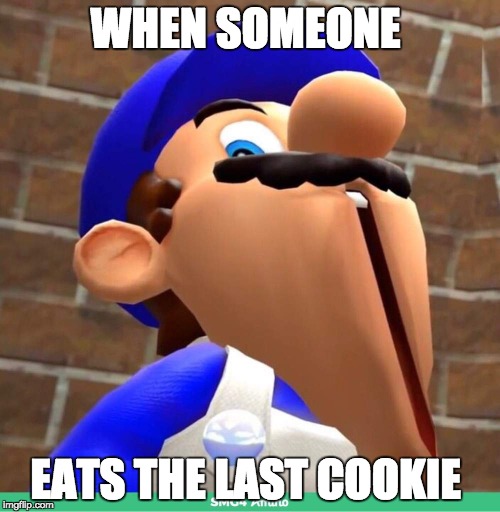 smg4's face | WHEN SOMEONE; EATS THE LAST COOKIE | image tagged in smg4's face | made w/ Imgflip meme maker