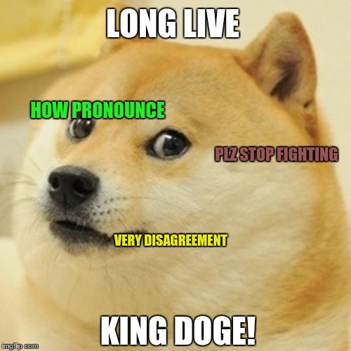 Doge | LONG LIVE; HOW PRONOUNCE; PLZ STOP FIGHTING; VERY DISAGREEMENT; KING DOGE! | image tagged in memes,doge | made w/ Imgflip meme maker