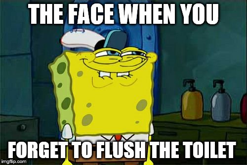 That face... | THE FACE WHEN YOU; FORGET TO FLUSH THE TOILET | image tagged in memes | made w/ Imgflip meme maker