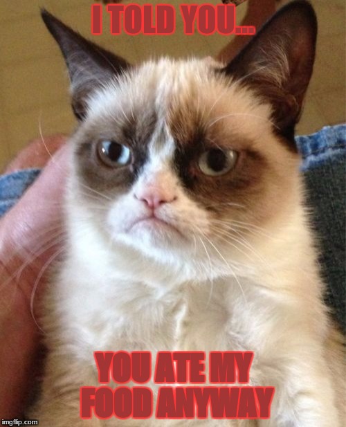 Grumpy Cat | I TOLD YOU... YOU ATE MY FOOD ANYWAY | image tagged in memes,grumpy cat,scumbag | made w/ Imgflip meme maker