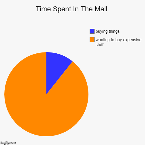 Time Spent In The Mall | wanting to buy expensive stuff, buying things | image tagged in funny,pie charts | made w/ Imgflip chart maker