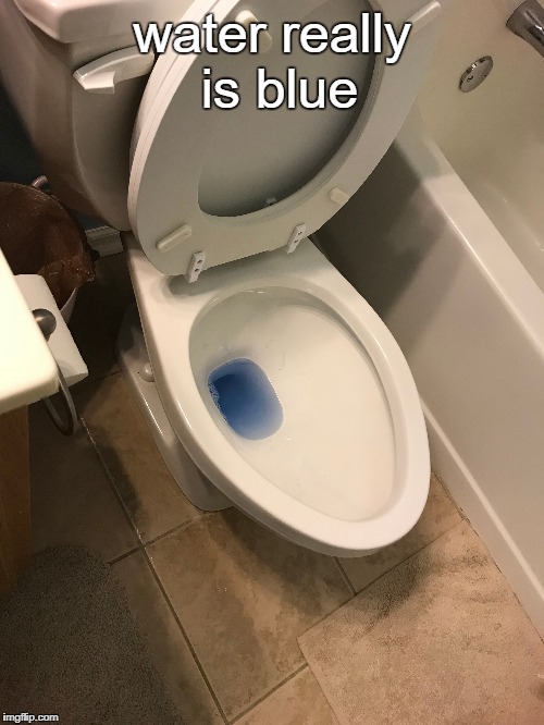 I must be fully hydrated | water really is blue | image tagged in water,blue,toilet | made w/ Imgflip meme maker