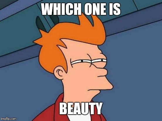 Futurama Fry Meme | WHICH ONE IS BEAUTY | image tagged in memes,futurama fry | made w/ Imgflip meme maker