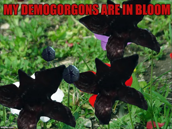 Demogorgon Meme | MY DEMOGORGONS ARE IN BLOOM | image tagged in flowers,plants,memes,funny,stranger things,demogorgon | made w/ Imgflip meme maker