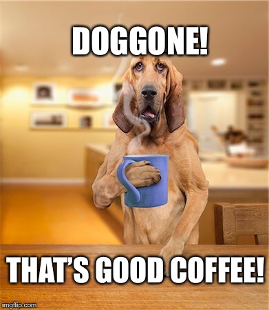 DOGGONE! THAT’S GOOD COFFEE! | made w/ Imgflip meme maker