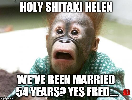 Surprised Monkey | HOLY SHITAKI HELEN; WE'VE BEEN MARRIED 54 YEARS? YES FRED.... | image tagged in surprised monkey | made w/ Imgflip meme maker