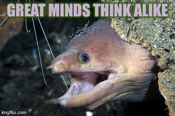 Happy Eel | GREAT MINDS THINK ALIKE | image tagged in happy eel | made w/ Imgflip meme maker