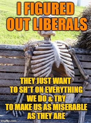Waiting Skeleton Meme | I FIGURED OUT LIBERALS; THEY JUST WANT TO SH*T ON EVERYTHING WE DO & TRY TO MAKE US AS MISERABLE AS THEY ARE | image tagged in memes,waiting skeleton | made w/ Imgflip meme maker