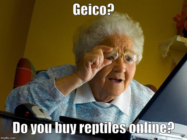 Grandma Finds The Internet Meme | Geico? Do you buy reptiles online? | image tagged in memes,grandma finds the internet | made w/ Imgflip meme maker