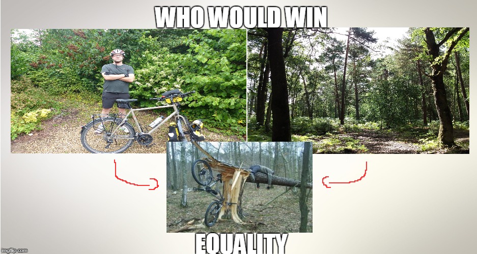 fight of a guy and a tree | WHO WOULD WIN; EQUALITY | image tagged in memes | made w/ Imgflip meme maker