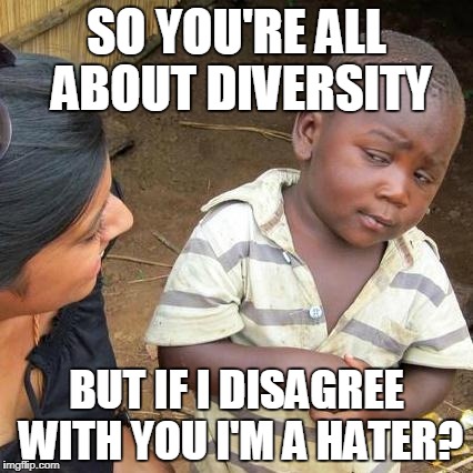 Liberal Logic | SO YOU'RE ALL ABOUT DIVERSITY; BUT IF I DISAGREE WITH YOU I'M A HATER? | image tagged in memes,third world skeptical kid | made w/ Imgflip meme maker