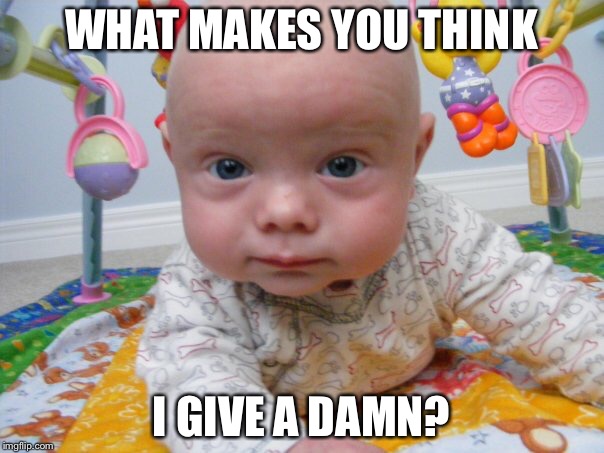 Baby don’t care | WHAT MAKES YOU THINK; I GIVE A DAMN? | image tagged in skeptical baby,dont care,baby | made w/ Imgflip meme maker