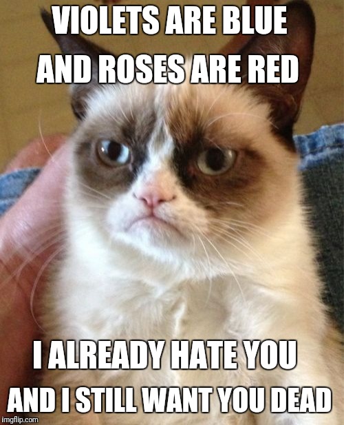 Grumpy Cat | VIOLETS ARE BLUE; AND ROSES ARE RED; I ALREADY HATE YOU; AND I STILL WANT YOU DEAD | image tagged in memes,grumpy cat | made w/ Imgflip meme maker