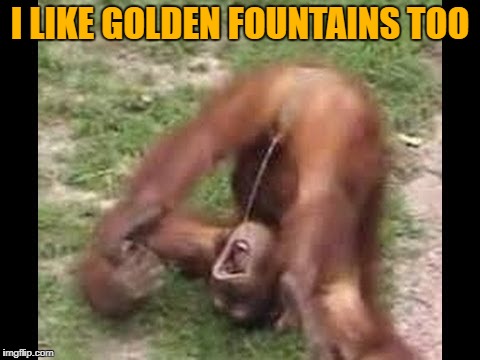 I LIKE GOLDEN FOUNTAINS TOO | made w/ Imgflip meme maker