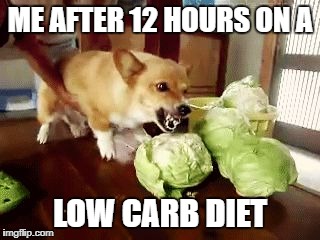 ME AFTER 12 HOURS ON A; LOW CARB DIET | made w/ Imgflip meme maker