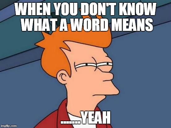 Futurama Fry | WHEN YOU DON'T KNOW WHAT A WORD MEANS; .......YEAH | image tagged in memes,futurama fry | made w/ Imgflip meme maker