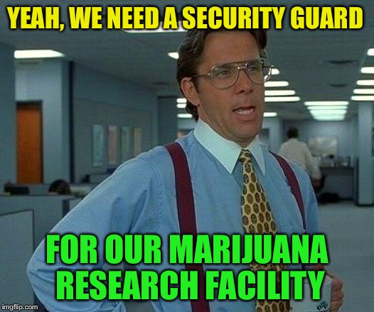 That Would Be Great Meme | YEAH, WE NEED A SECURITY GUARD FOR OUR MARIJUANA RESEARCH FACILITY | image tagged in memes,that would be great | made w/ Imgflip meme maker