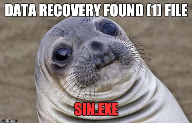 Awkward Moment Sealion Meme | DATA RECOVERY FOUND (1) FILE SIN.EXE | image tagged in memes,awkward moment sealion | made w/ Imgflip meme maker