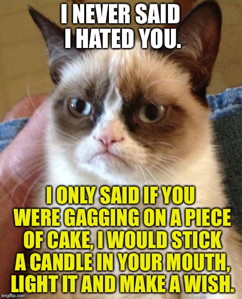 Make a wish | I NEVER SAID I HATED YOU. I ONLY SAID IF YOU WERE GAGGING ON A PIECE OF CAKE, I WOULD STICK A CANDLE IN YOUR MOUTH, LIGHT IT AND MAKE A WISH. | image tagged in memes,grumpy cat,birthday cake,candle,choke,wish | made w/ Imgflip meme maker