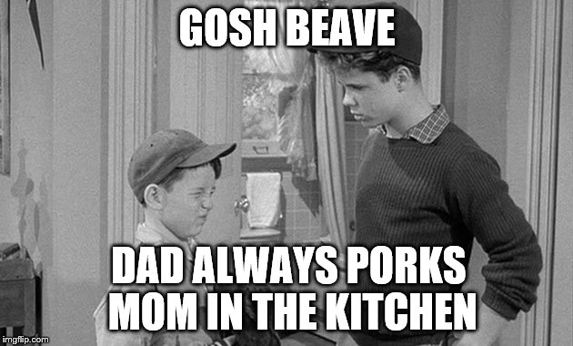 GOSH BEAVE DAD ALWAYS PORKS MOM IN THE KITCHEN | made w/ Imgflip meme maker