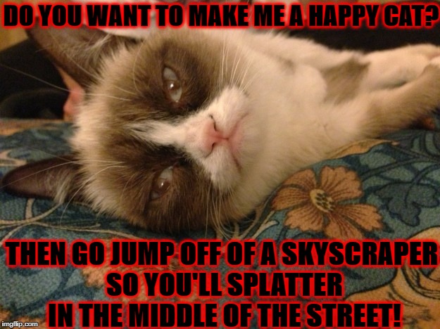 DO YOU WANT TO MAKE ME A HAPPY CAT? THEN GO JUMP OFF OF A SKYSCRAPER SO YOU'LL SPLATTER IN THE MIDDLE OF THE STREET! | image tagged in grumpy cat | made w/ Imgflip meme maker