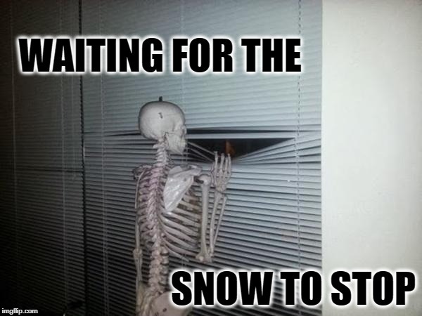 Waiting for Snow | image tagged in waiting skeleton | made w/ Imgflip meme maker